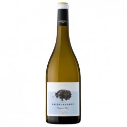 Valdelagunde Sauvignon Blanc
