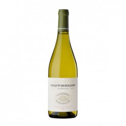 Joaquin Rebolledo Godello